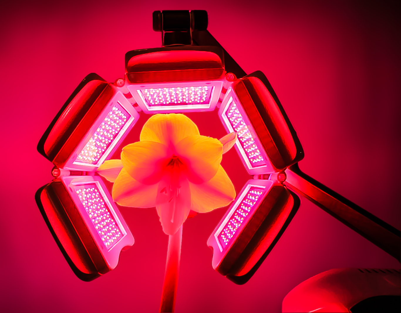 Аппарат фотодинамической терапии VIREO